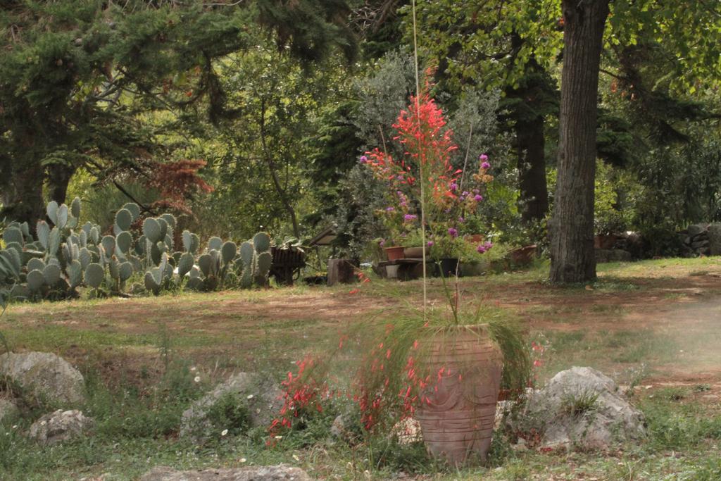Holiday Home Botanica Drenje  Room photo