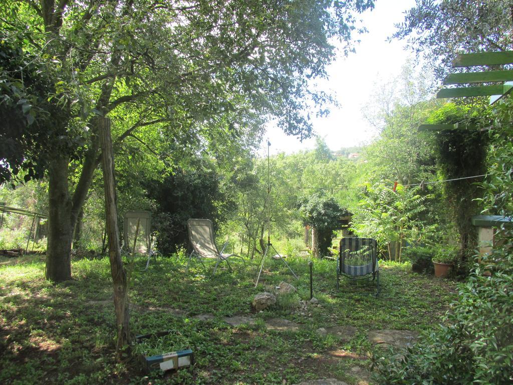 Holiday Home Botanica Drenje  Room photo