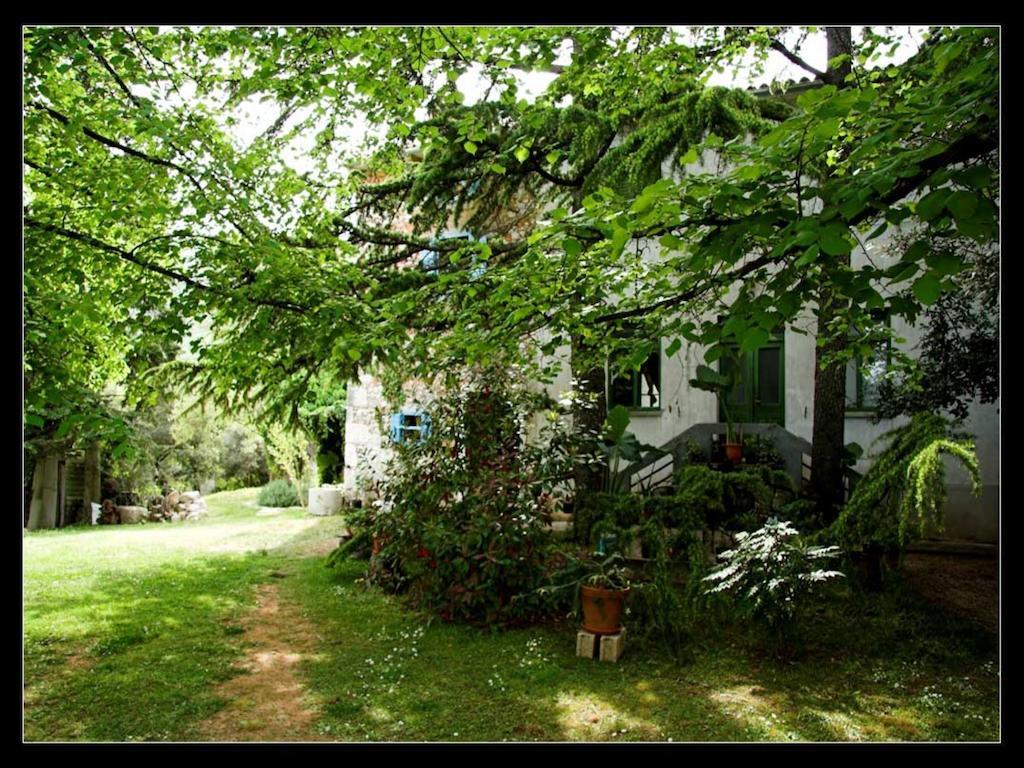 Holiday Home Botanica Drenje  Room photo
